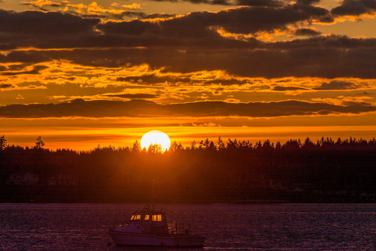 Boston Harbor Marina